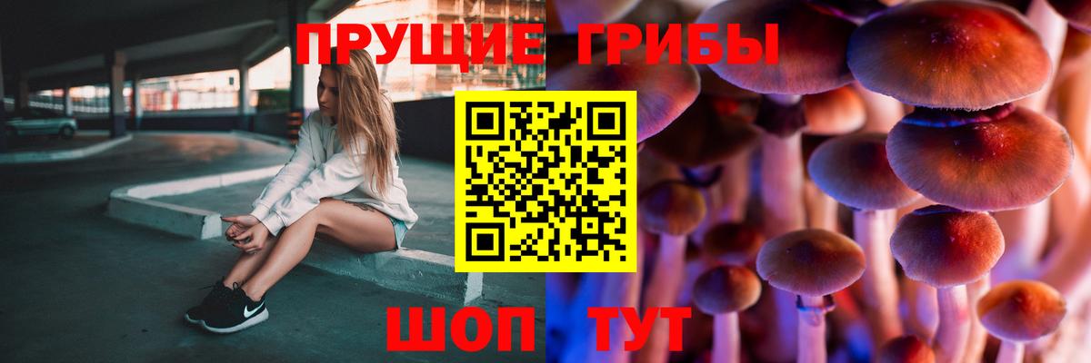 Амурск  Псилоцибиновые грибы MAGIC MUSHROOMS  Вход с VPN 