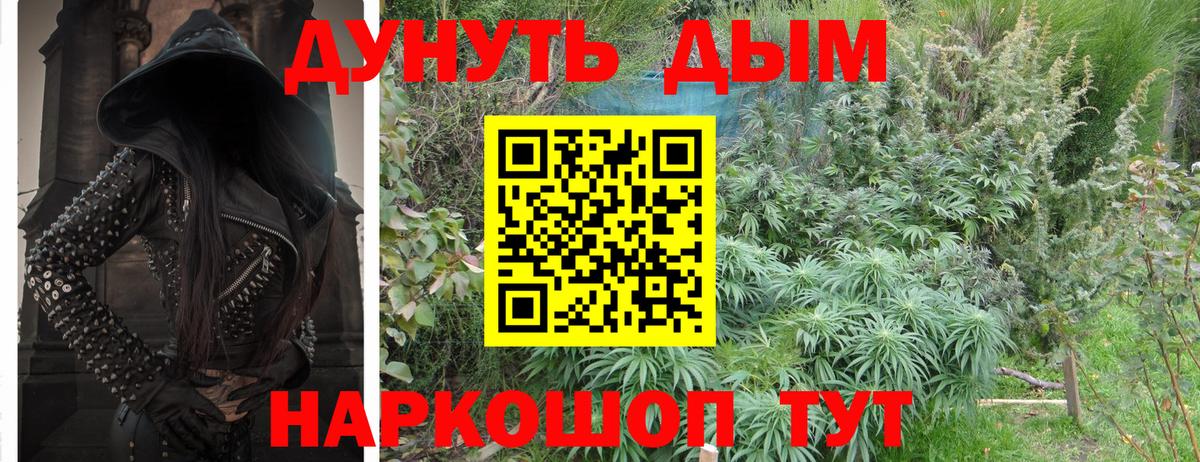 Каннабис тримм  Канабис индика  Вход с VPN  Конопля индика  Амурск 